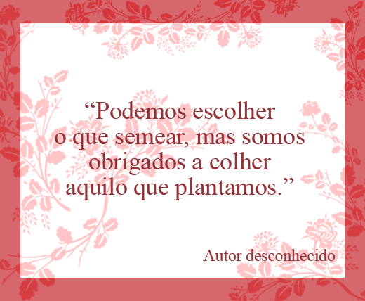 frase-colheita