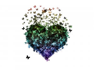 1335979_butterflies_in_heart